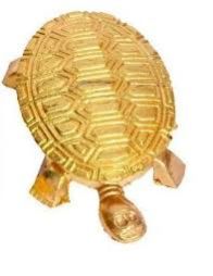 Tortoise Yantra 01