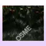 Machine Weft Remy Human Hair 02