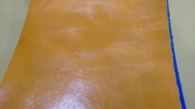 Cow Two Tone Shine Finished Leather 01