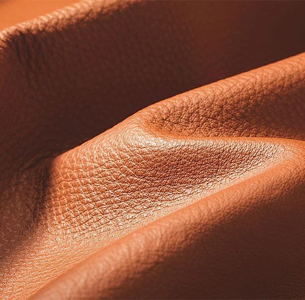 Cow Two Tone Shine Finished Leather 03