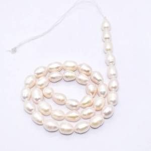 PULZ-031 White Shell Pearl Bead