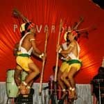 Folk Dance Organizer