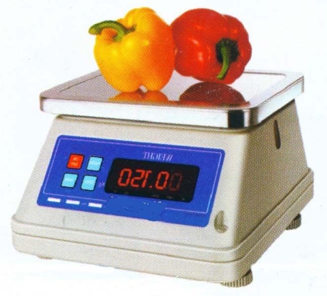 Fibre Body Economy Scale