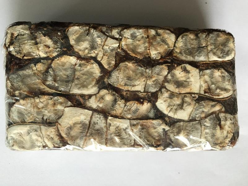 Seedless Tamarind 03