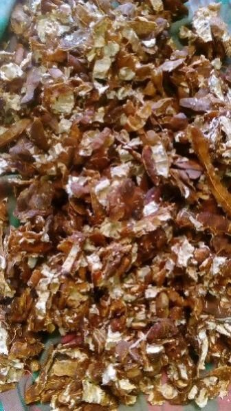 Seedless Tamarind 05