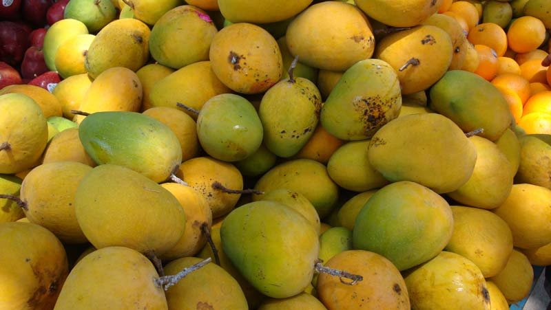 Alphonso Mangoes 01