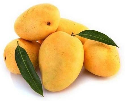Kesar Mangoes 02