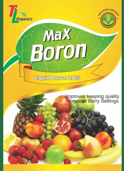 Max Boron 4