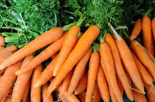 Fresh Carrot