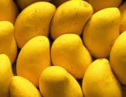 Fresh Mango