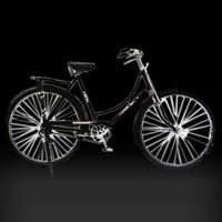 Ladybird Bicycle