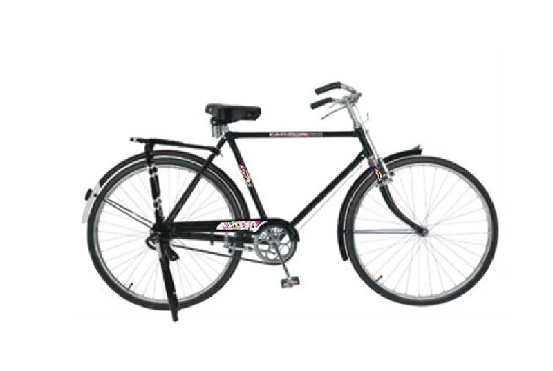 Royal Bicycle