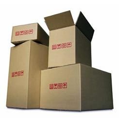 Printed Corrugated Carton (7)
