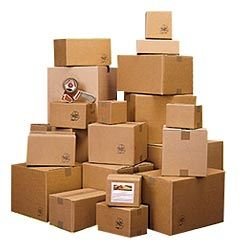 Printed Corrugated Carton (PCB 17)