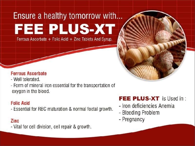 Fee Plus-XT Dry Syrup