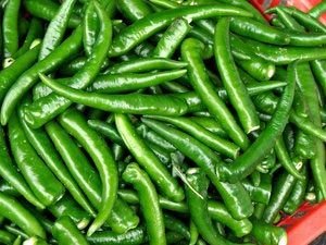 Fresh Green Chillies
