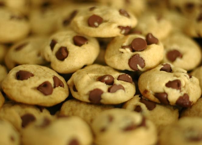 Choco Chip Biscuits