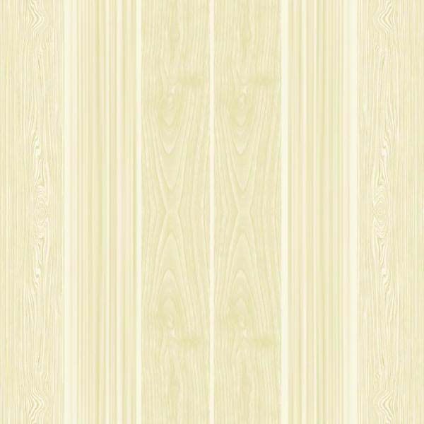 60x60 Series Cannello Vitrified Tile