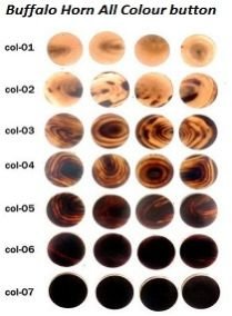 Buffalo Horn Button Blank 02