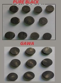 Buffalo Horn Button Blank 03