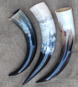 Drinking Horn 01