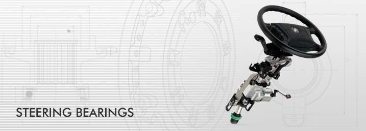 Steering Bearings