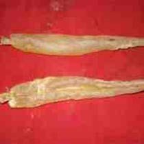 Kote Fish Maw