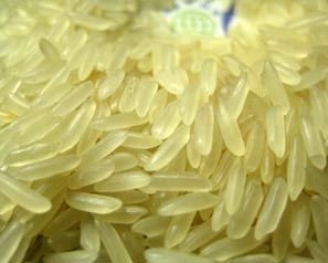 Masoor Rice