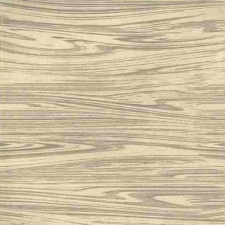 I Series Polished Vitrified Tiles
