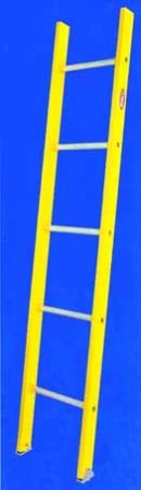 Single Section Ladder 01