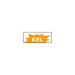 Keltech Energies Ltd