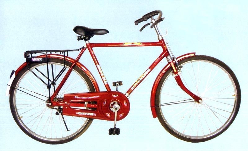 Roter Lion dx Bicycle