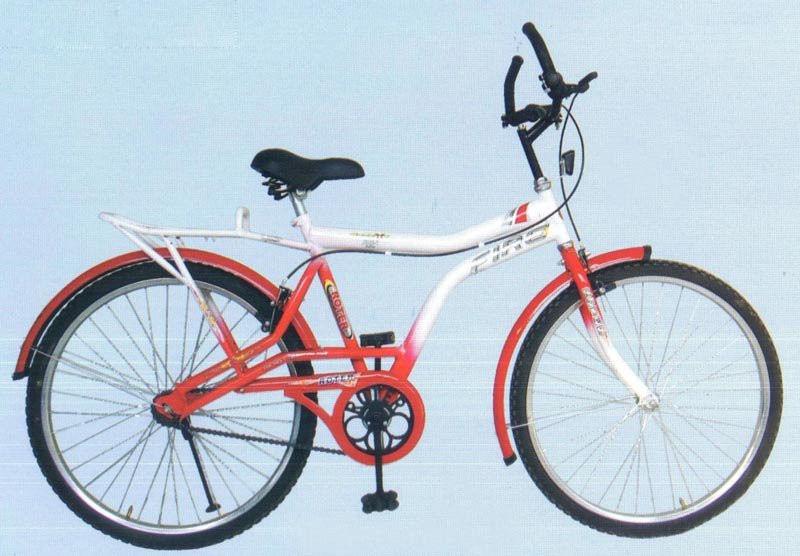 Roter Fire Bicycle