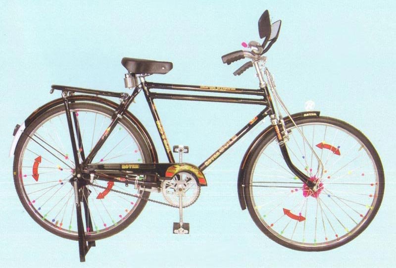 Roter Gold PH Bicycle