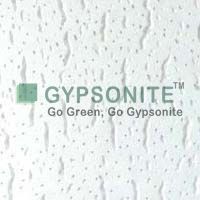 GRG Ceiling Tiles 01