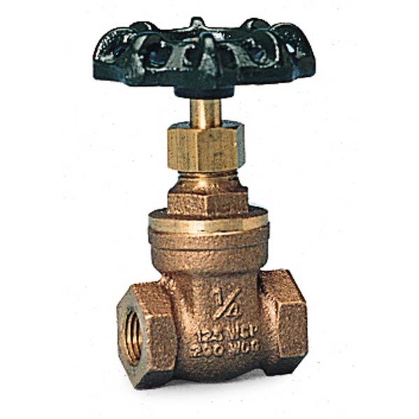 Globe Valve