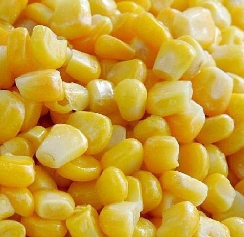 Frozen Sweet Corn