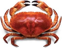 Crabs