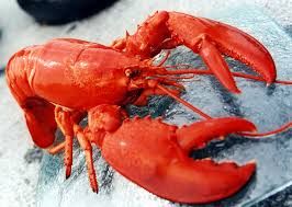 Lobsters