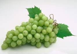 Fresh Grapes