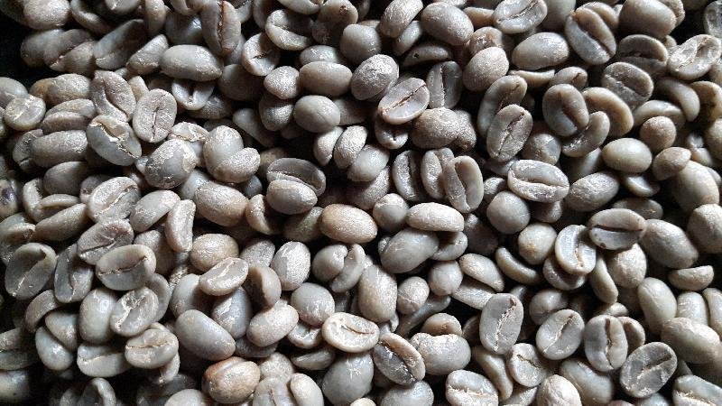 Arabica Green Coffee Beans 02