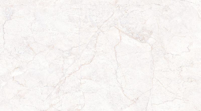 Glossy Series Wall Tiles (25x45) (3007 L)