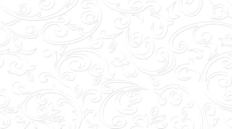 Glossy Series Wall Tiles (25x45) (3085 L)