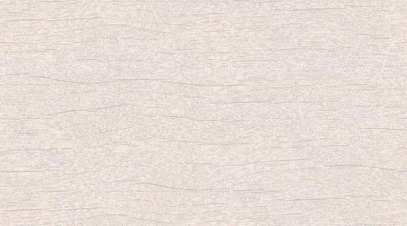 Glossy Series Wall Tiles (25x45) (3094 L)