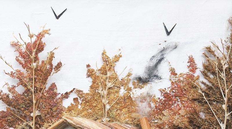 Poster Series Wall Tiles (25x45) (3901 B)