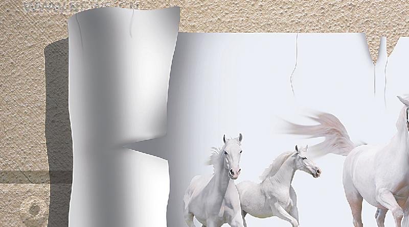 Poster Series Wall Tiles (25x45) (3905 A)