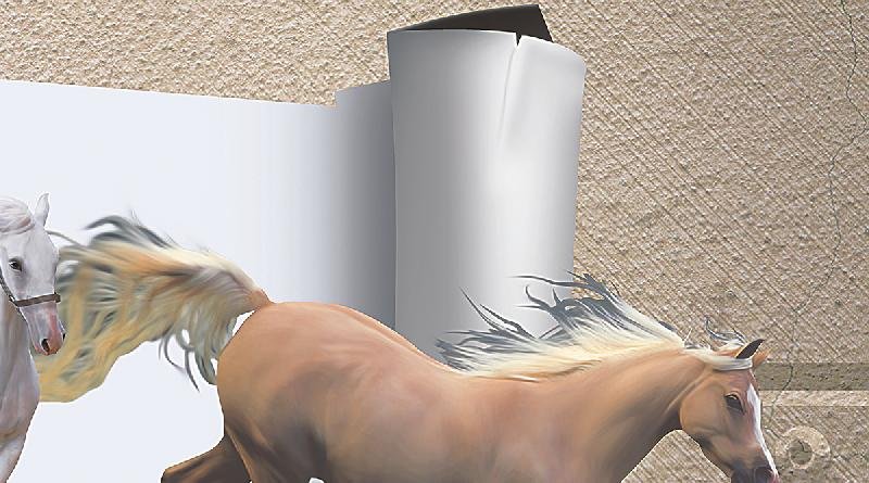 Poster Series Wall Tiles (25x45) (3905 B)