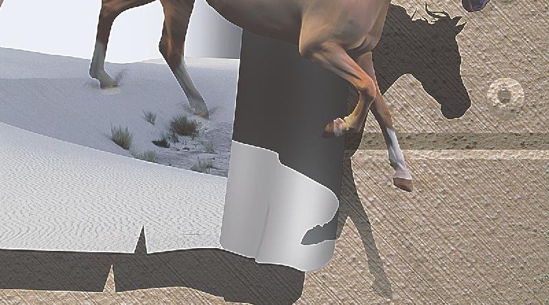 Poster Series Wall Tiles (25x45) (3905 D)