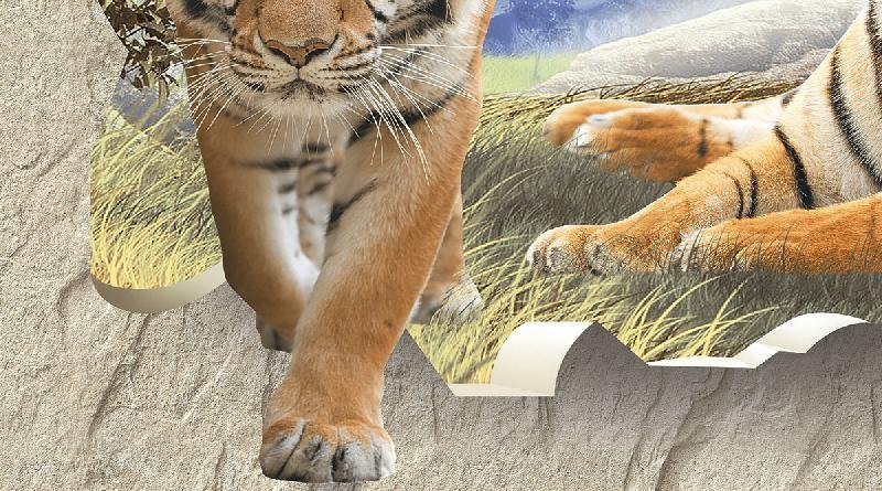 Poster Series Wall Tiles (25x45) (3909 C)