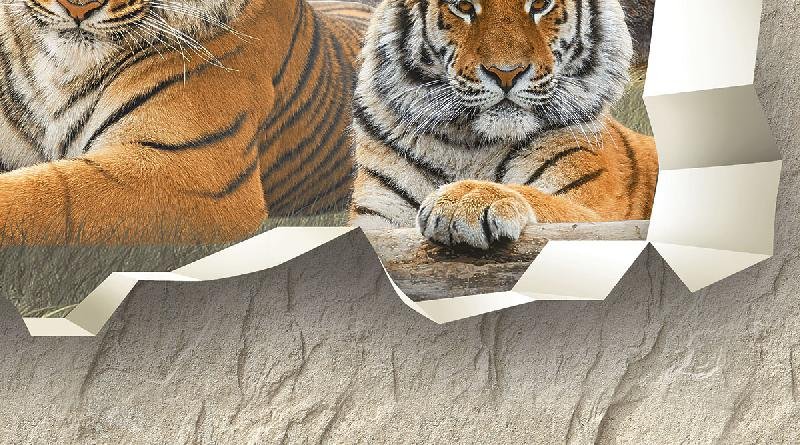 Poster Series Wall Tiles (25x45) (3909 D)